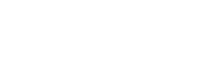 True North Mortgage Solutions Logo